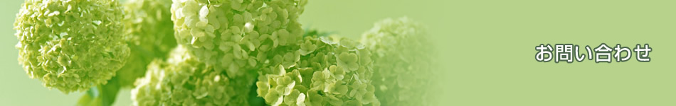 ���₢���킹