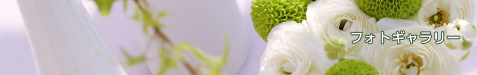 �t�H�g�M�������[