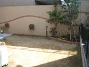 �����{�H�O