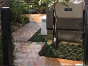 �����̃C���[�W