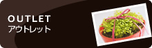 OUTLET �A�E�g���b�g