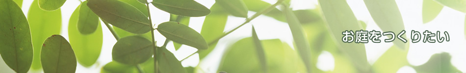 ��������肽��