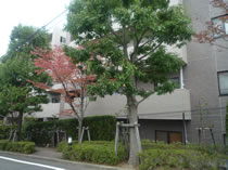 �Βn�Ǘ��Ń}���V������r���̎��Y���l�����߂܂��񂩁H 1