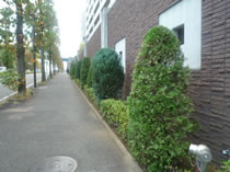 �Βn�Ǘ��Ń}���V������r���̎��Y���l�����߂܂��񂩁H 2