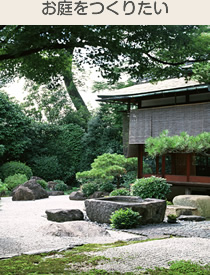 ��������肽��