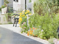 �q�A�����O�����n����